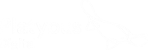 Platypus digital logo in white, png on transparent background