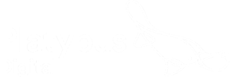 Platypus digital logo in white, png on transparent background