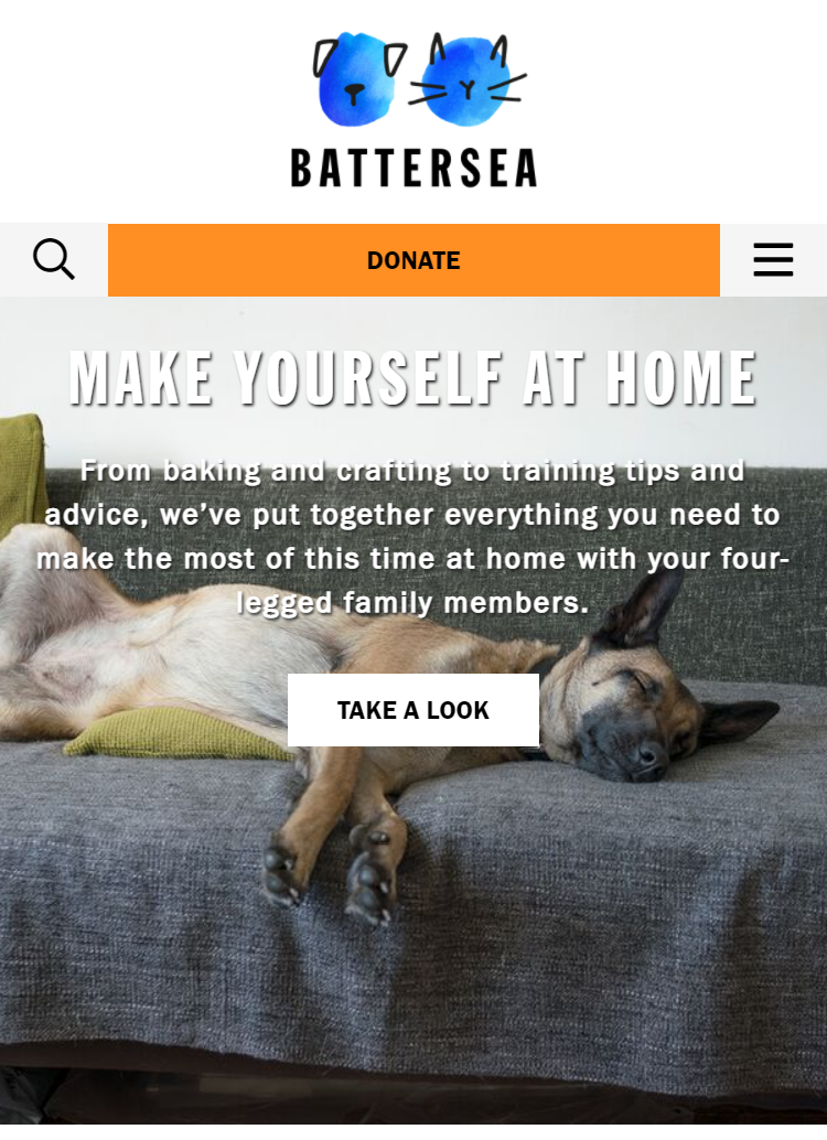 Image of a sleeping dog for Battersea dogs and cats charity