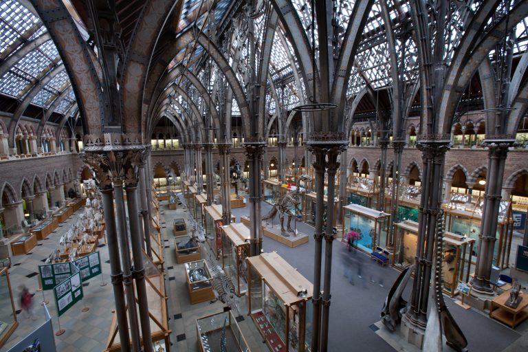 Image of Oxford University Museum of Natural History, Oxford, UK