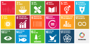 Summary of the Sustainable Development Goals