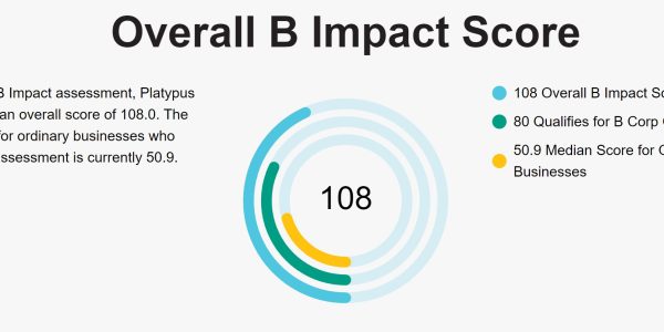 B corp score