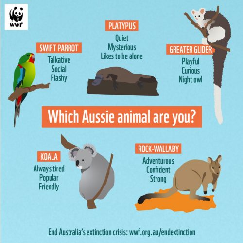 FBAds3 three types of digital fundraising campaign example from WWF