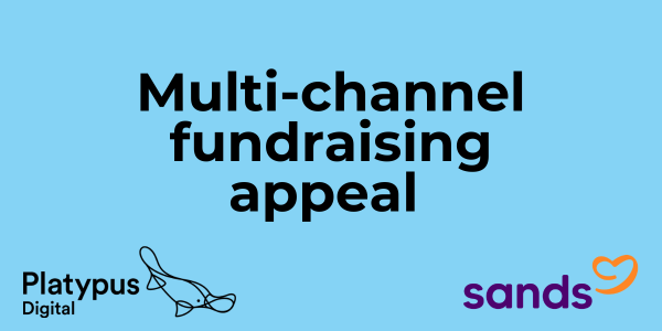 Sands Platypus Digital featured image