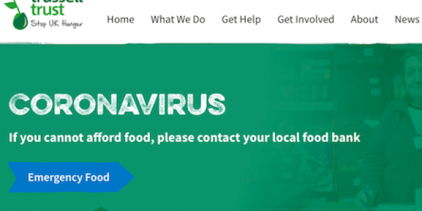 Screenshot of the trussell trust website design