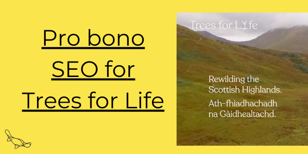 Pro bono SEO for Trees for Life