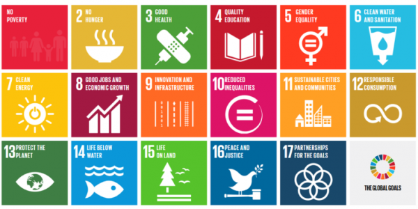 Summary of the Sustainable Development Goals